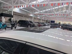 Skoda Octavia PRO TSI280 Luxury Edition - ფოტო 8