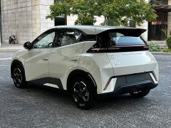 BYD Seagull Flying Edition - ფოტო 18