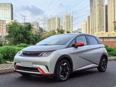 BYD Dolphin 405km Fashion Edition - photo 1