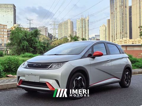 2022 BYD Dolphin 405km Fashion Edition - ავტომობილი ჩინეთიდან