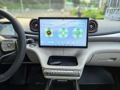 BYD Dolphin 405km Fashion Edition - photo 9