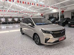 Wuling Jiachen 1.5T CVT Premium Flagship - ფოტო 3