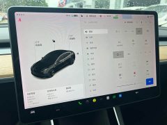 Tesla Model 3 Standard Range RWD Upgrade - ფოტო 7