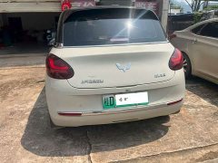 Wuling Binguo 2023 333km Lingxi Connected Edition - ფოტო 4