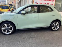 ORA Good Cat 2022 400km Standard Range Deluxe Edition LFP Battery - ფოტო 5