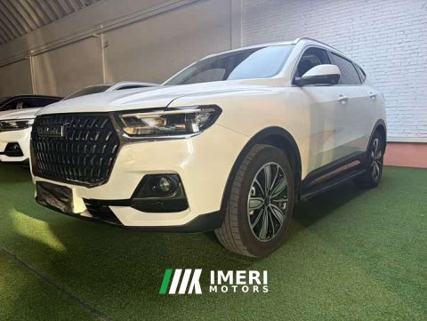2024 Haval H6 2023 National Trend Edition 1.5T Automatic Champion Version - ავტომობილი ჩინეთიდან