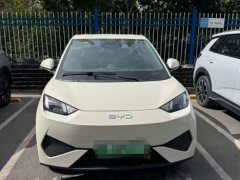 BYD Seagull 305km Freedom Edition - ფოტო 1