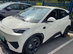 BYD Seagull 305km Freedom Edition - ფოტო 3