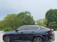 BMW X6 2023 xDrive30i M Sport Package - ფოტო 8