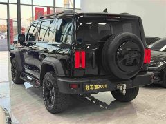 Tank 300 Off-Road Edition 2.0T Conqueror - ფოტო 7