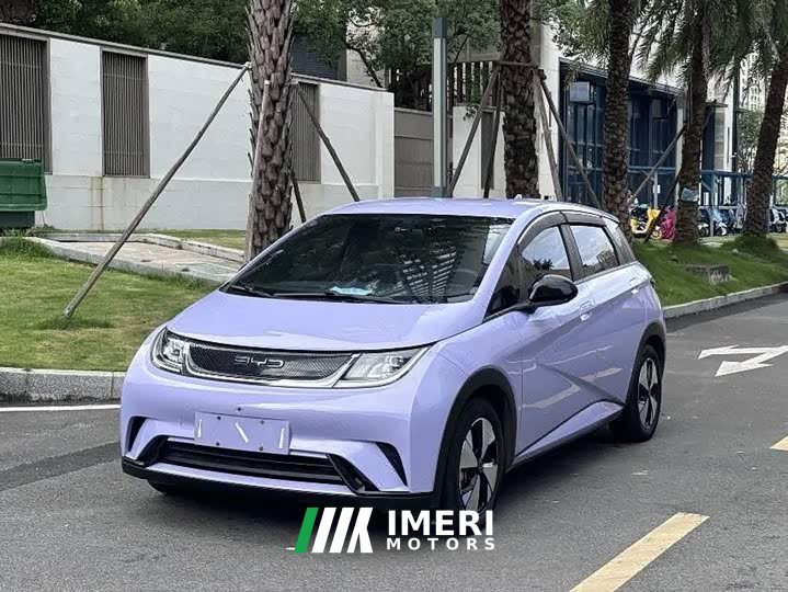 BYD Dolphin 420km Fashion Edition - ავტომობილი ჩინეთიდან