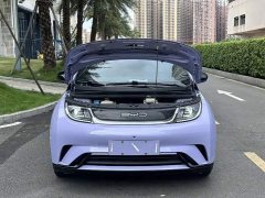 BYD Dolphin 420km Fashion Edition - ფოტო 15