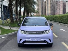 BYD Dolphin 420km Fashion Edition - ფოტო 2