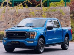Ford F-150 Raptor 3.5T Platinum Edition Mexican version - photo 2