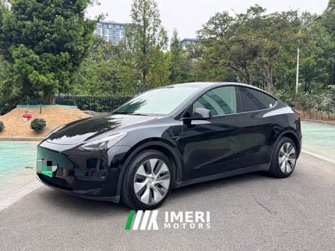 2021 Tesla Model Y Standard Range RWD - ავტომობილი ჩინეთიდან