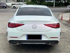 Mercedes-Benz CLS Facelift CLS 300 Dynamic Edition - photo 4