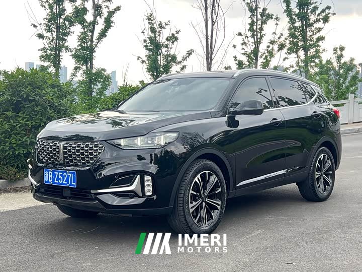 Great Wall WEY VV6 2.0T Two-Wheel Drive Smart Edition Plus - ავტომობილი ჩინეთიდან
