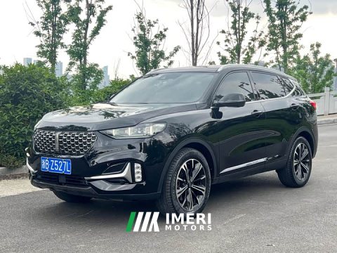 2021 Great Wall WEY VV6 2.0T Two-Wheel Drive Smart Edition Plus - ავტომობილი ჩინეთიდან