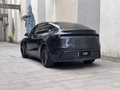 Tesla Model Y Rear-Wheel Drive - ფოტო 6