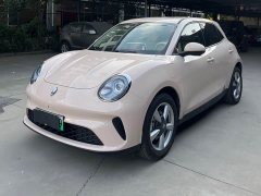 ORA Good Cat 2025 430km Luxury - ფოტო 1