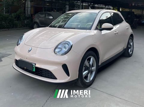 2026 ORA Good Cat 2025 430km Luxury - ავტომობილი ჩინეთიდან