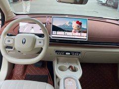 ORA Good Cat 2025 430km Luxury - ფოტო 10