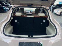 ORA Good Cat 2025 430km Luxury - ფოტო 15