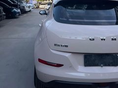 ORA Good Cat 2025 430km Luxury - ფოტო 6