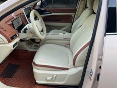 ORA Good Cat 2025 430km Luxury - ფოტო 9