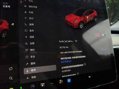 Tesla Model Y 2022 Facelift Rear-Wheel Drive - ფოტო 8