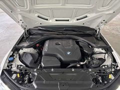 BMW 3 Series 320Li M Sport Package - ფოტო 19