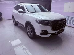 Haval H6 2021 1.5T Automatic Champion Edition - ფოტო 5