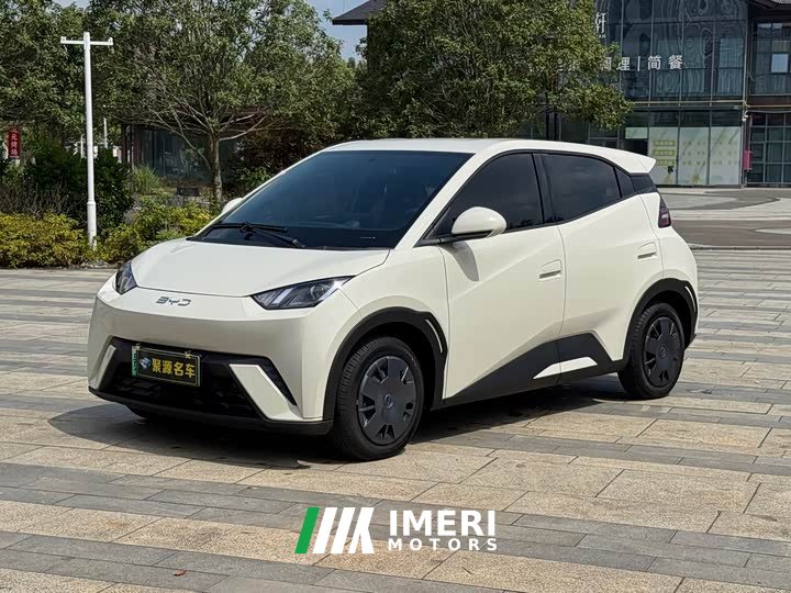 BYD Seagull 305km Freedom Edition - ავტომობილი ჩინეთიდან