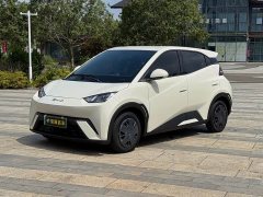 BYD Seagull 305km Freedom Edition - ფოტო 1