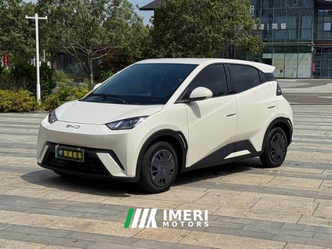 2025 BYD Seagull 305km Freedom Edition - ავტომობილი ჩინეთიდან