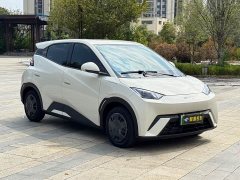BYD Seagull 305km Freedom Edition - ფოტო 3