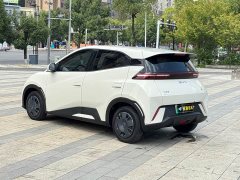 BYD Seagull 305km Freedom Edition - ფოტო 7