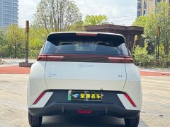 BYD Seagull 305km Freedom Edition - ფოტო 8