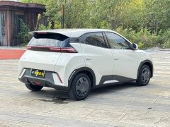BYD Seagull 305km Freedom Edition - ფოტო 9