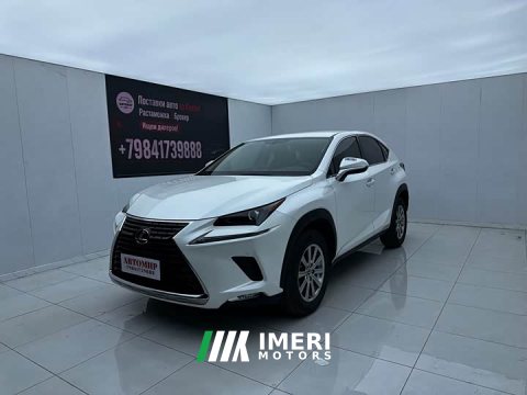 2021 Lexus NX 2020 200 FWD Sharp Edition National VI - ავტომობილი ჩინეთიდან