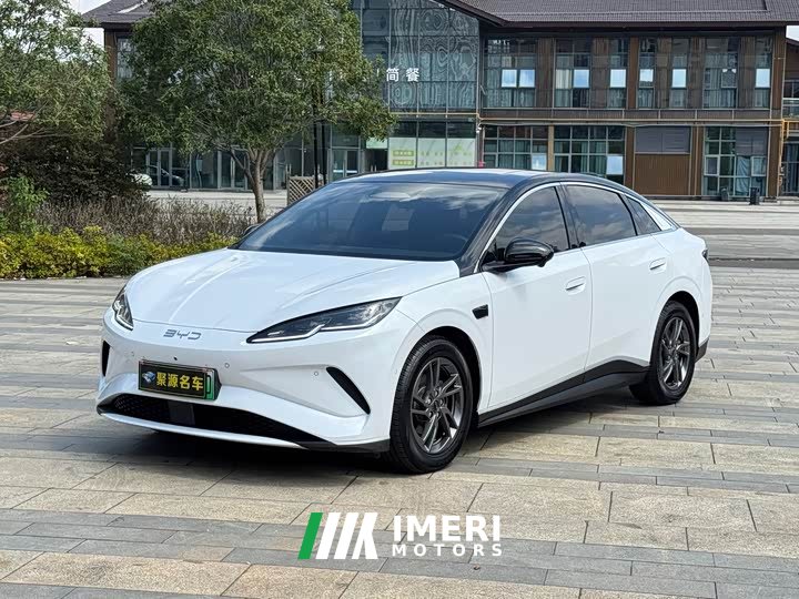 BYD Dolphin 06 EV 470KM Prestige Edition - ავტომობილი ჩინეთიდან