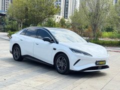 BYD Dolphin 06 EV 470KM Prestige Edition - ფოტო 3