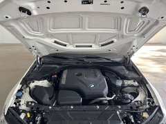 BMW 3 Series 320Li M Sport Package - ფოტო 18