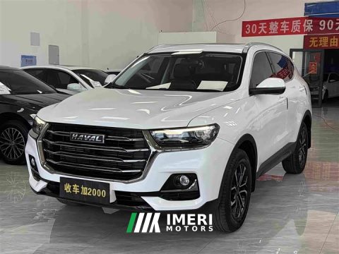 2021 Haval H6 National Trend 1.5T Automatic Champion Edition - ავტომობილი ჩინეთიდან