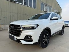 Haval H6 National Trend Edition 1.5T Automatic Urban Version - ფოტო 1
