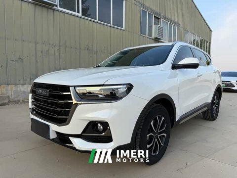 2021 Haval H6 National Trend Edition 1.5T Automatic Urban Version - ავტომობილი ჩინეთიდან