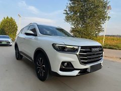 Haval H6 National Trend Edition 1.5T Automatic Urban Version - ფოტო 3
