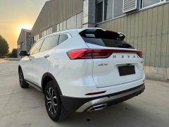 Haval H6 National Trend Edition 1.5T Automatic Urban Version - ფოტო 5