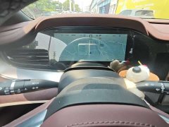 BYD Dolphin 07 DM-i 2025 DM-i 1.5L 125km Luxury - ფოტო 17
