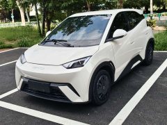 BYD Seagull Glory Edition 305km Vitality Version - ფოტო 1